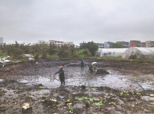 荆州河道鱼塘清淤